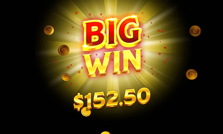 VIP Elite carousel image 2