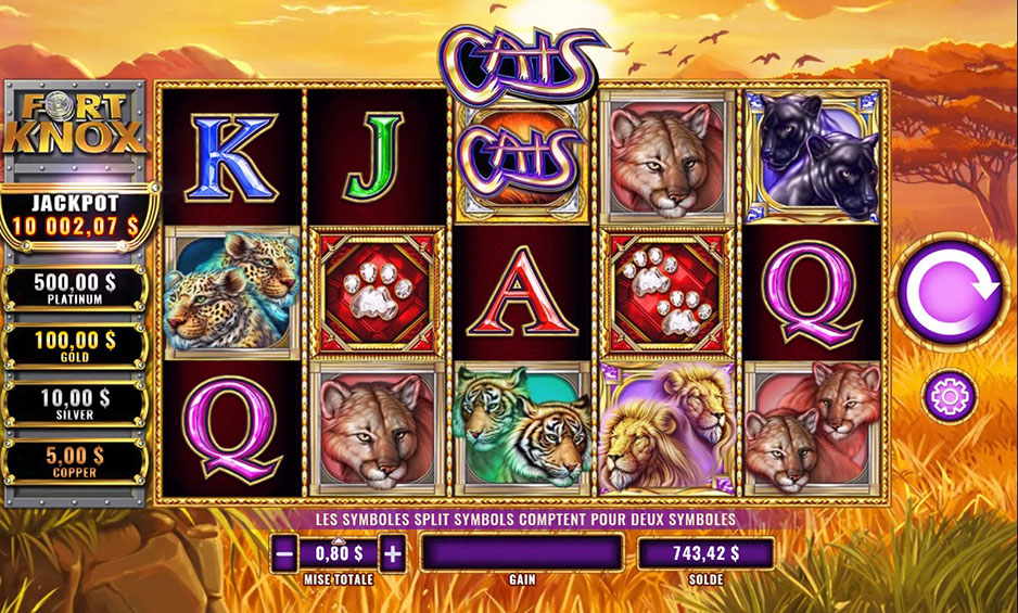 Fort Knox Cats carousel image 0