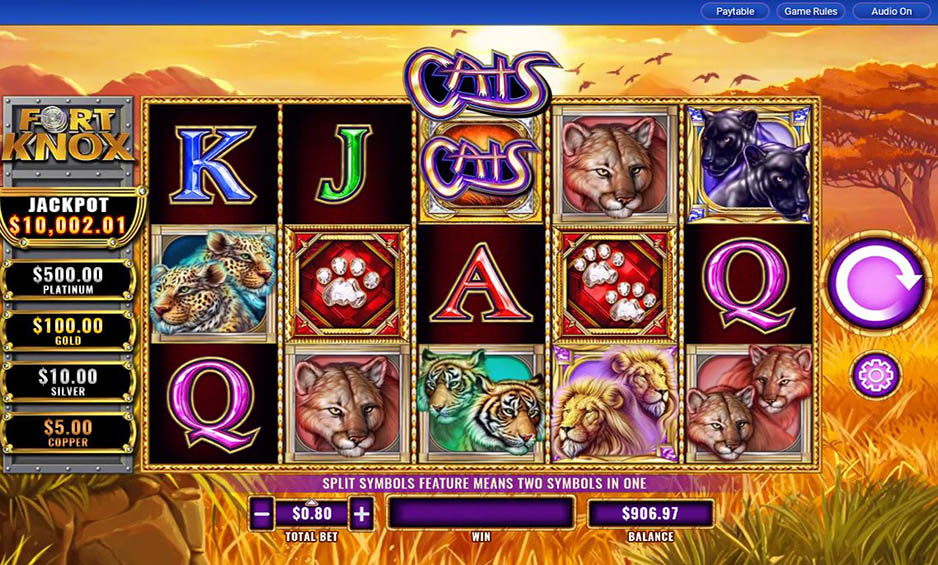 Fort Knox Cats carousel image 0