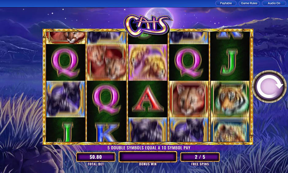 Fort Knox Cats carousel image 3