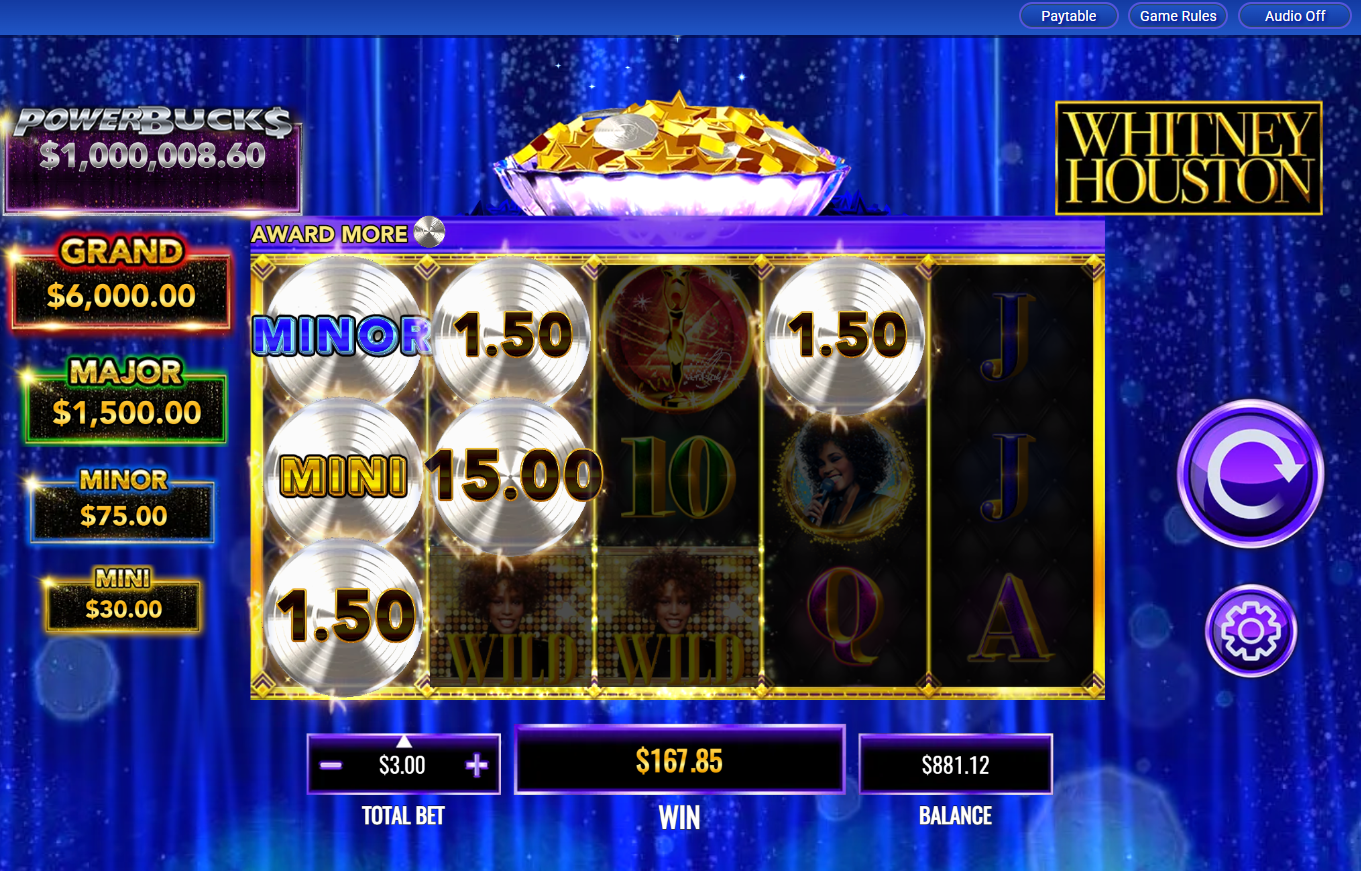 Powerbuck$ Whitney Houston carousel image 8