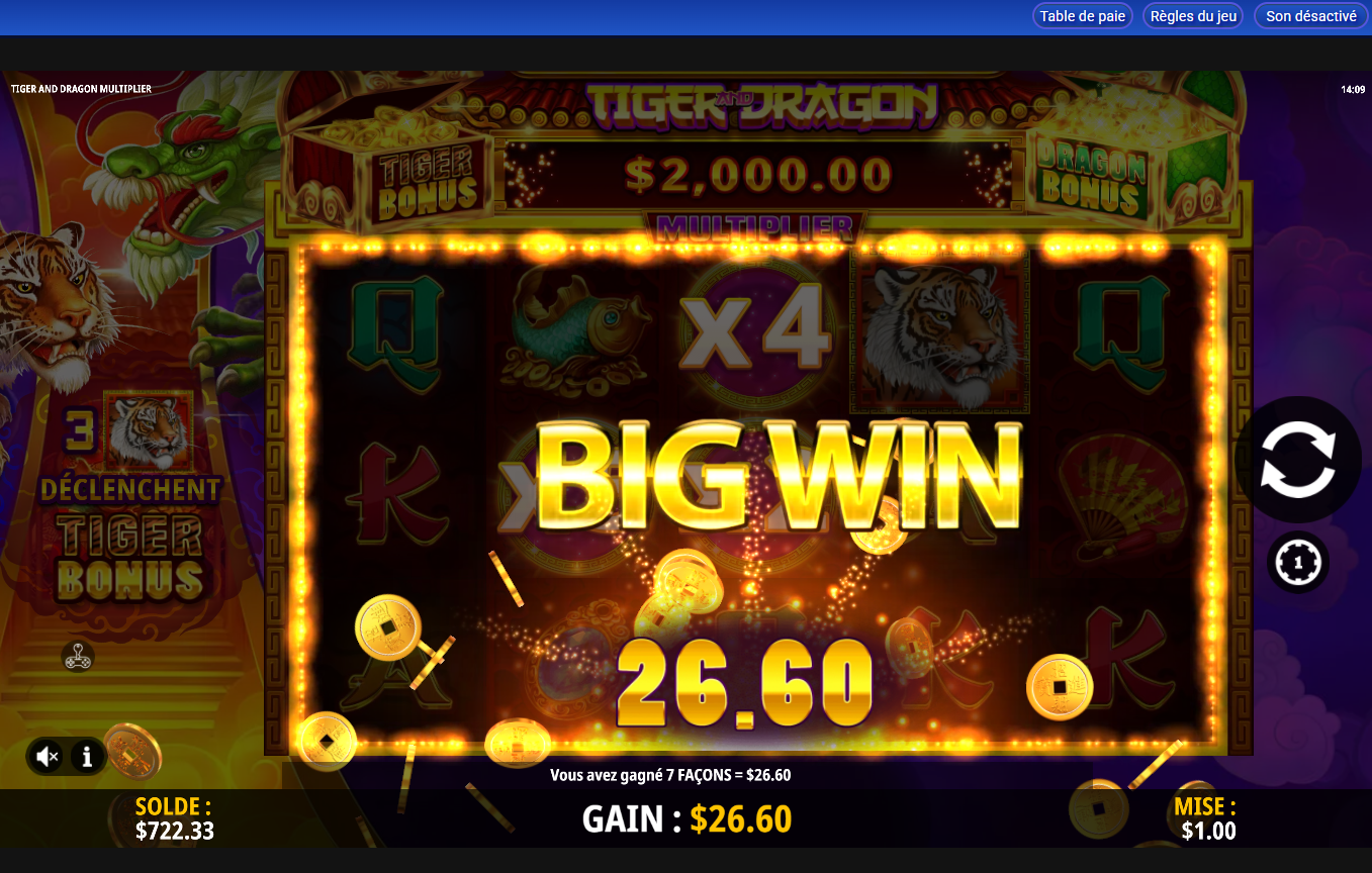 Tiger and Dragon Multiplier carousel image 2